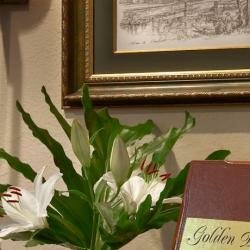 Гостиница Гринвей Обнинск-184